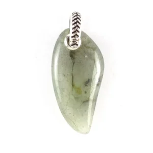 Labradorite Gemstone Horn Pendant Necklace