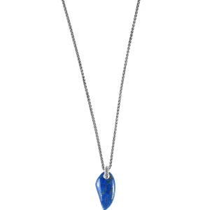 Lapis Gemstone Horn Pendant & Necklace