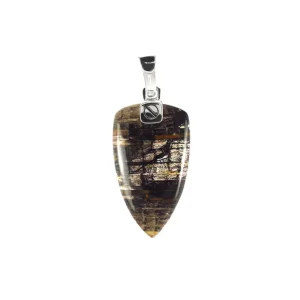 Petrified Wood Fossil Arrow Pendant