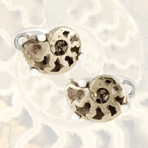 Pyritized Ammonite Fossil Sterling Silver Cufflink